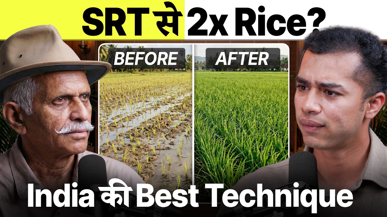 ₹0 लागत में 100% ज्यादा उपज?Rice SRT Technique का राज| Agritalk By Abhinav