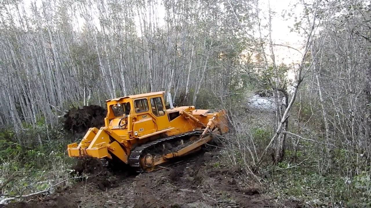 Bulldozer making logging roads