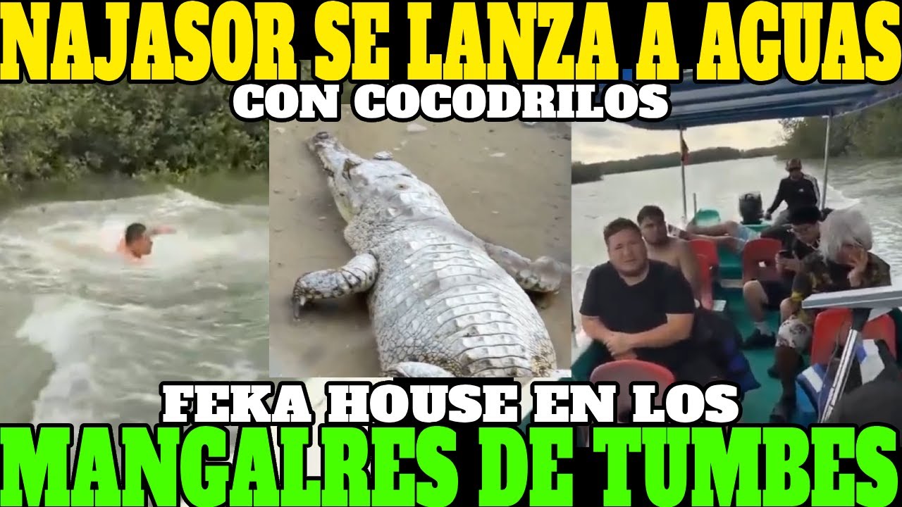 🔥ÑAJASOR SE LANZA EN AGUAS CON COCODRILOS, LA FEKA HOUSE VISITA LOS MANGALRES DE TUMBES🔥