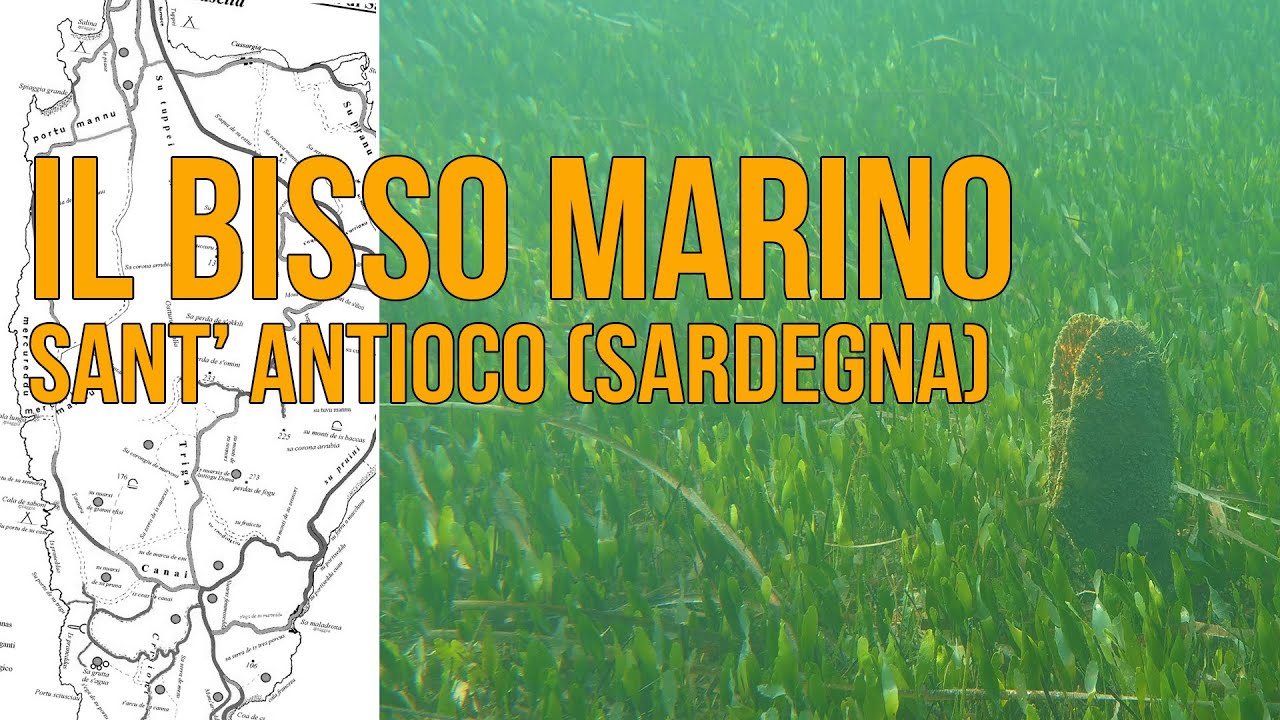 Sardegna e tradizioni locali: il bisso marino di Chiara Vigo (Fuoristagione 03)