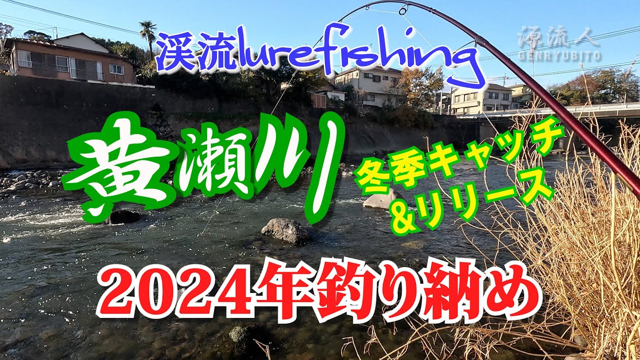 2024シーズン黄瀬川C＆R釣り納め(2024年12月18日)
