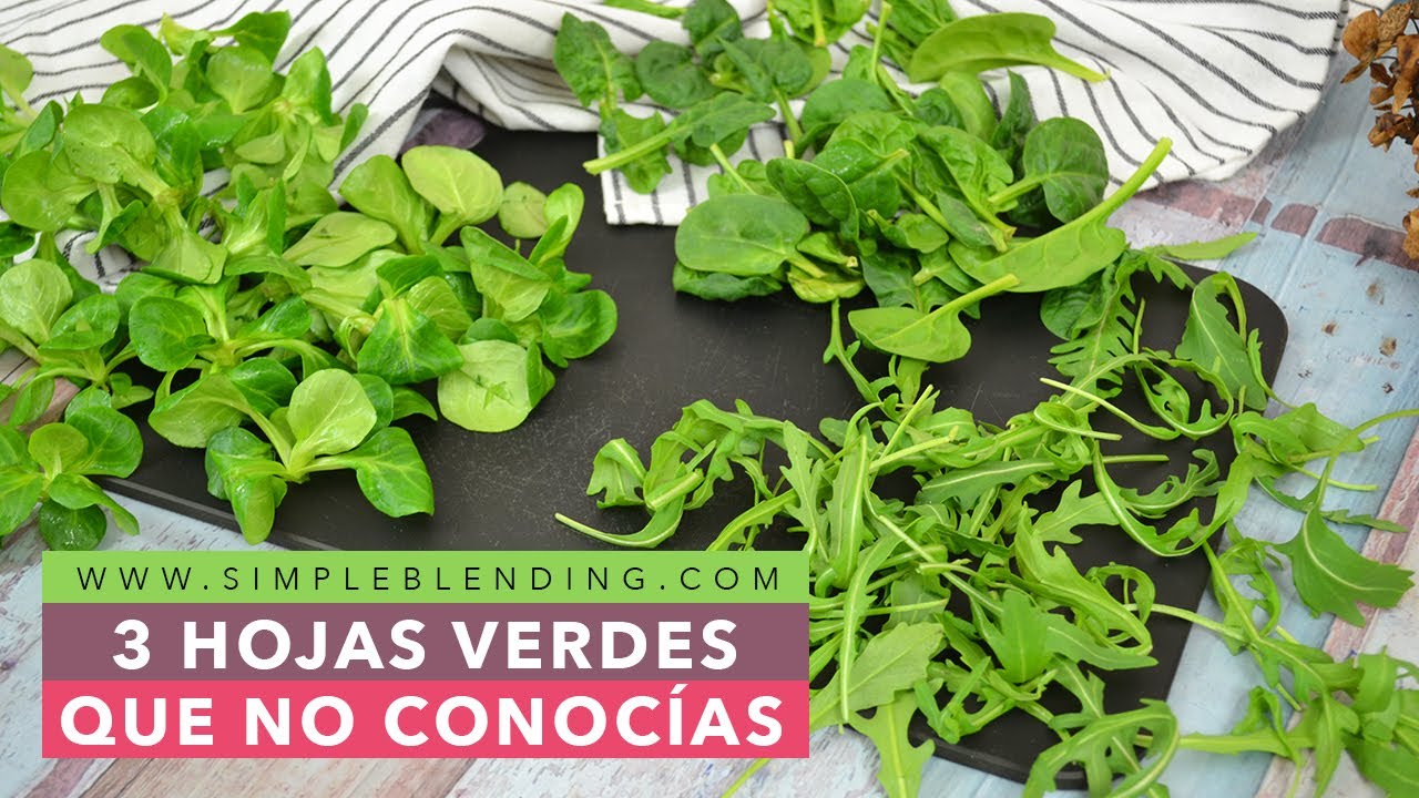 3 HOJAS VERDES QUE NO CONOCÍAS | Comparativa de hojas verdes | Rúcula, canónigos y espinacas