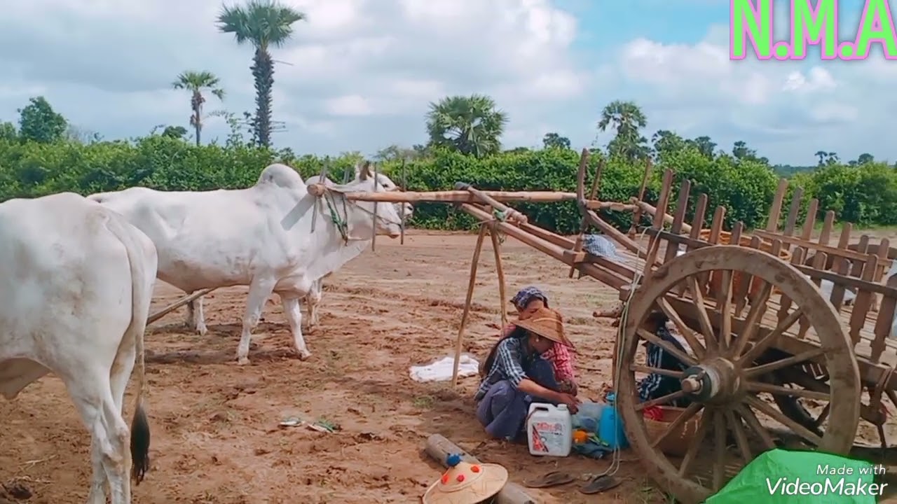 ချစ်သူ့နယ်မြေ