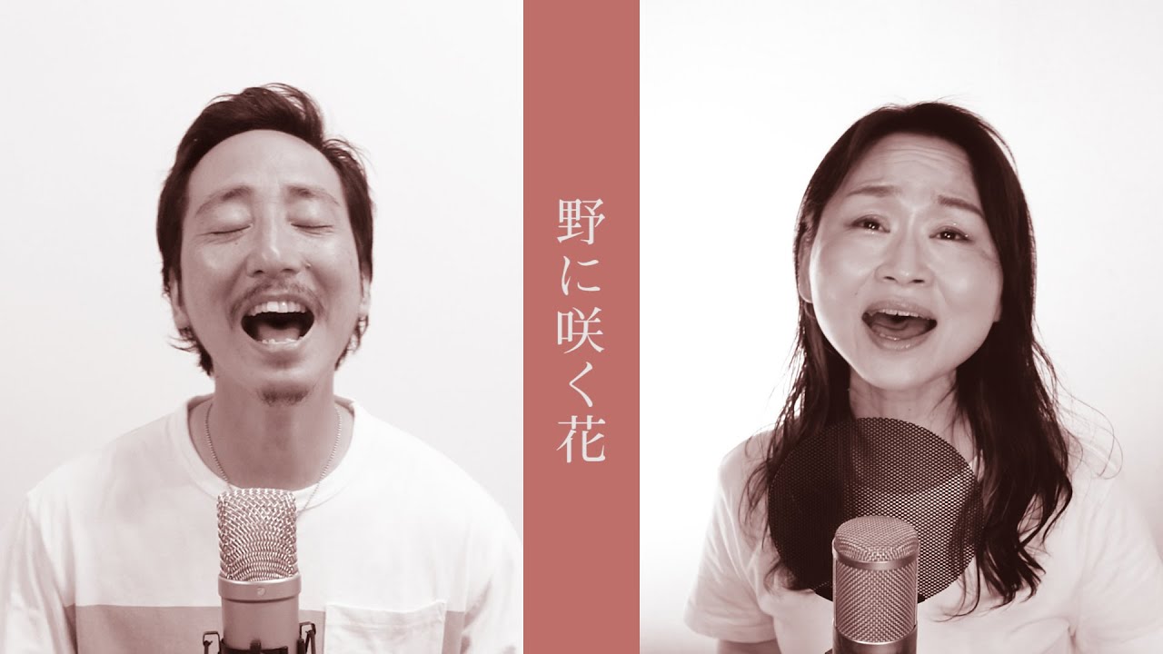 長沢崇史 x 富田満 - 野に咲く花