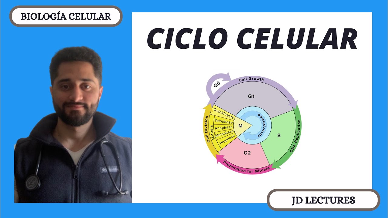 CICLO CELULAR | BIOLOGÍA CELULAR