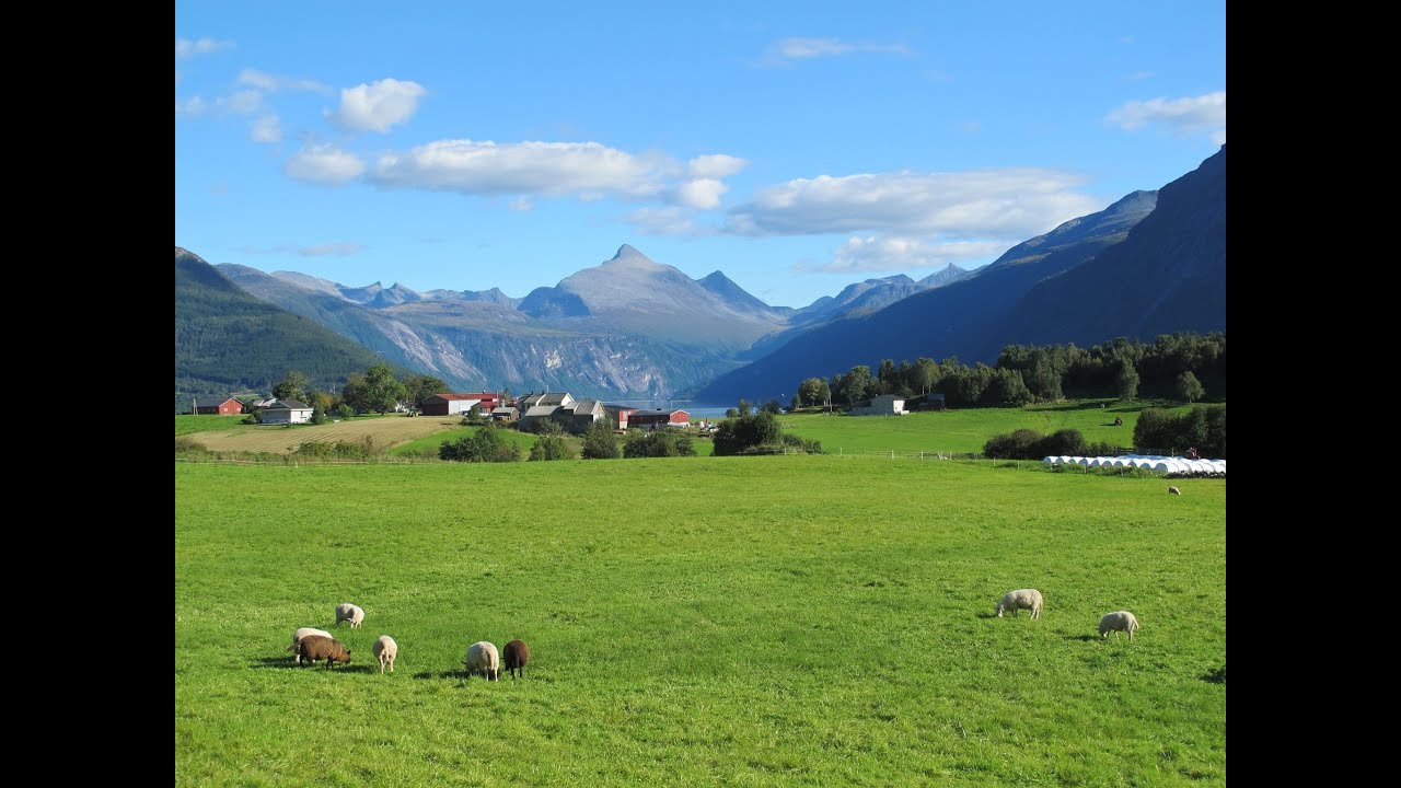 NESSET FJORD OG FJELL 2001