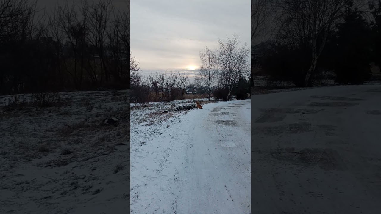 Историч повторяется