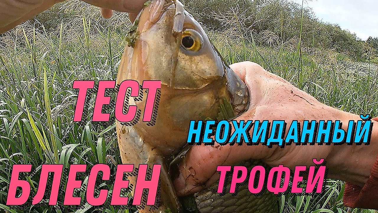 Тест Блесен с Алиэкспресс ( НЕОЖИДАННЫЙ ТРОФЕЙ )