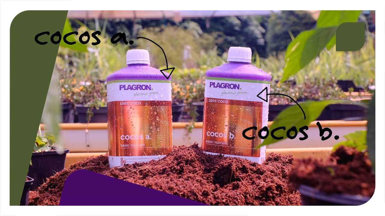 How to use Plagron Cocos A & B