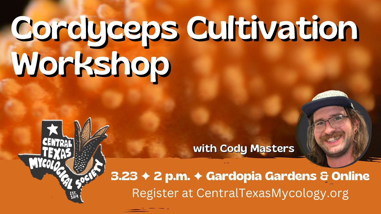 Cordyceps Cultivation Livestream