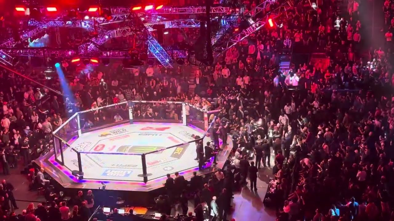 #UFC313
