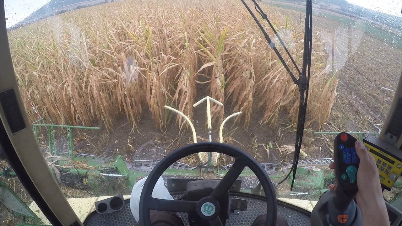 [Cabview] Krone BigX 650 Vollgas im Mais 2k18! ||GoPro|uncut||