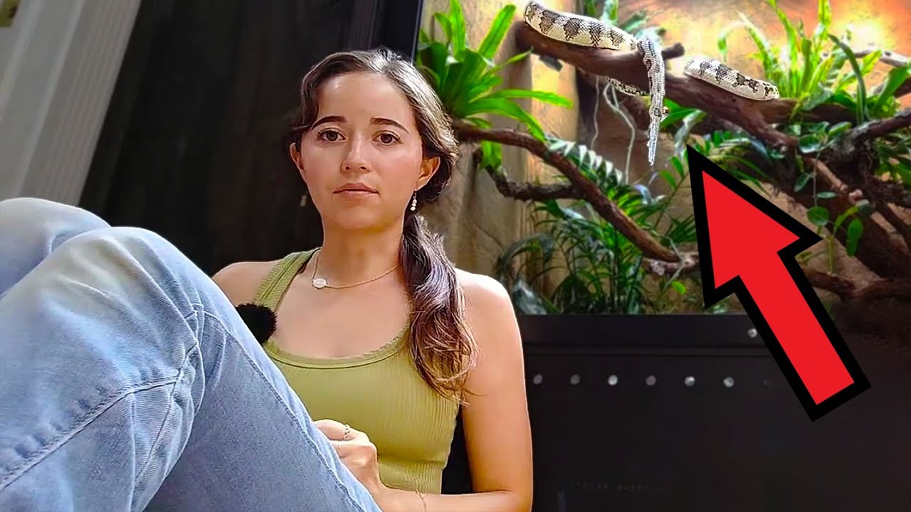 Maya answers snake questions with Noodle at Alveus