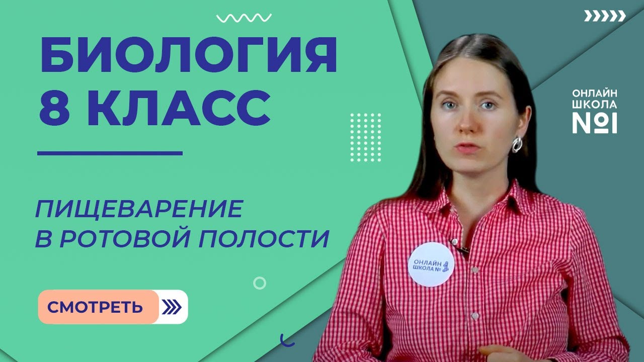 Пищеварение в ротовой полости. Видеоурок 21. Биология 8 класс