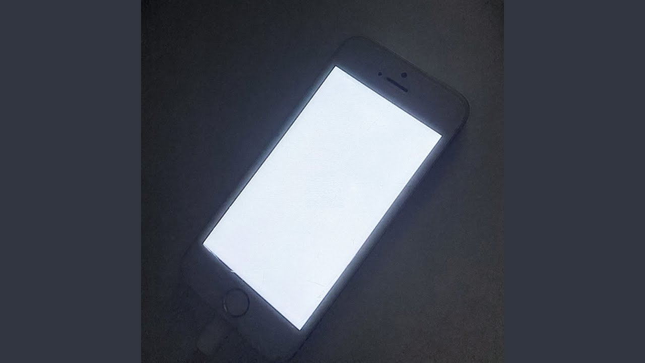 sakura zxc