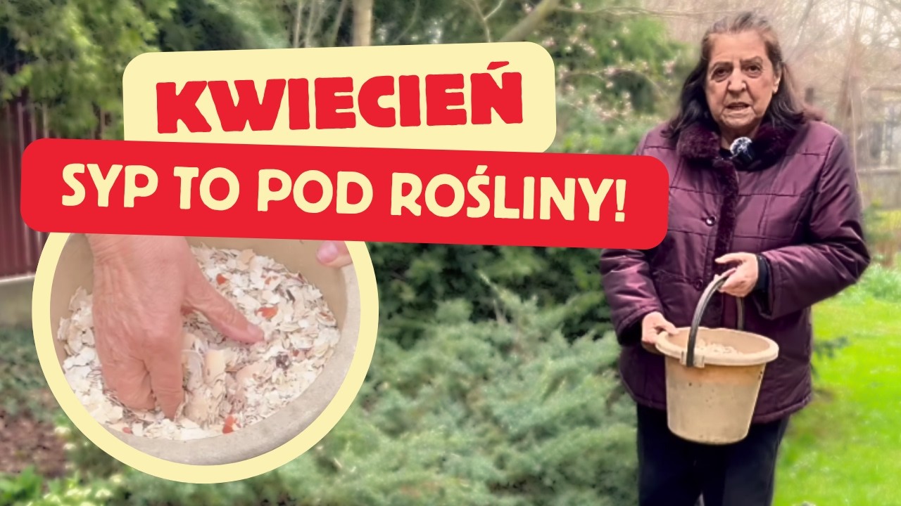 Co robimy w ogrodzie w kwietniu