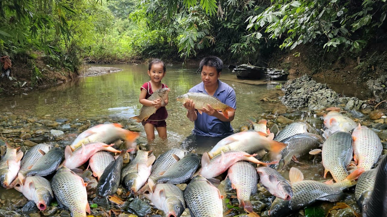 Harvesting catch giant river fish goes to market sell.