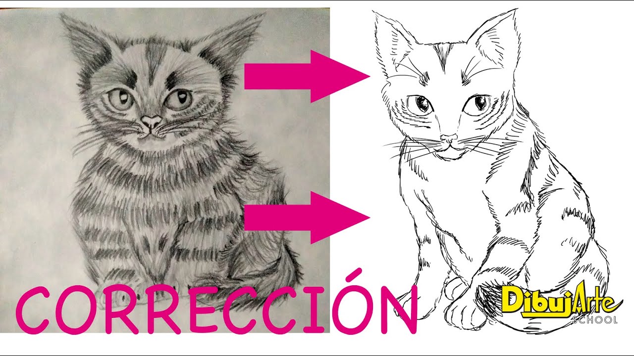 Gatito sentado, Revisión de portafolio