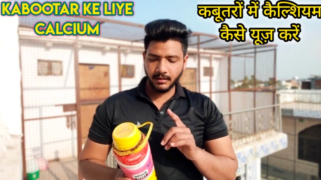 KABOOTAR KE LIYE CALCIUM 100% RESULT || कैल्शियम || ( KABOOTARBAZI )