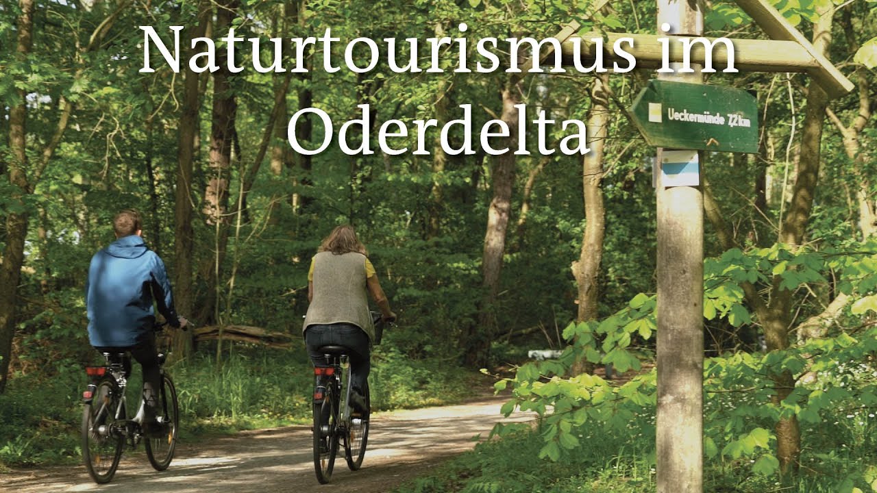 Naturtourismus im Oderdelta