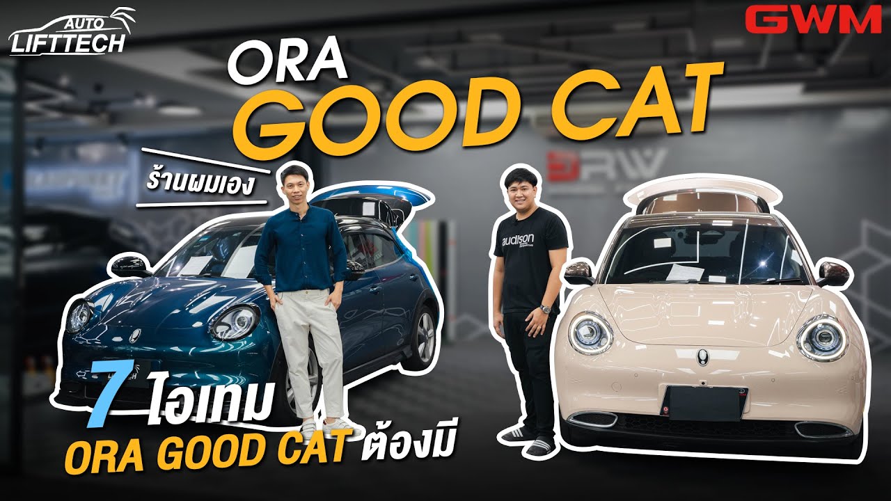 7 обязательных вещей для хорошего кота! Автор: Autolifttech - CarzaaThailand