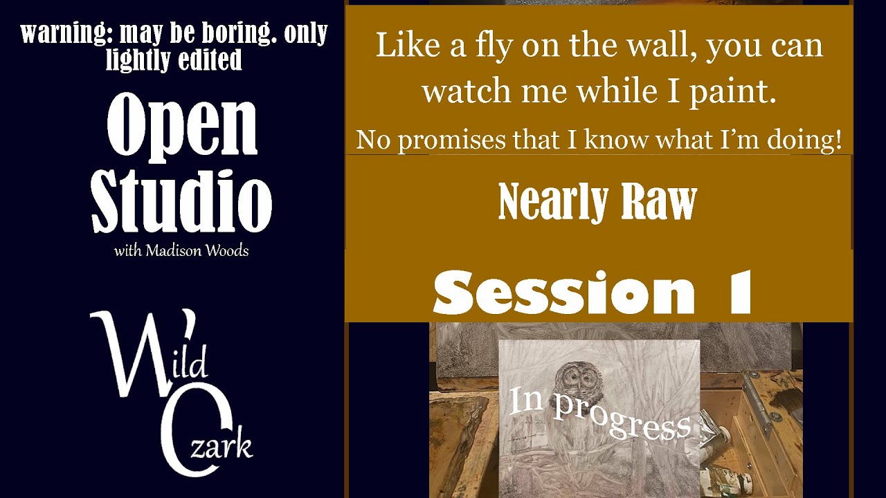OPEN STUDIO | Painting a Barred Owl - session 1
