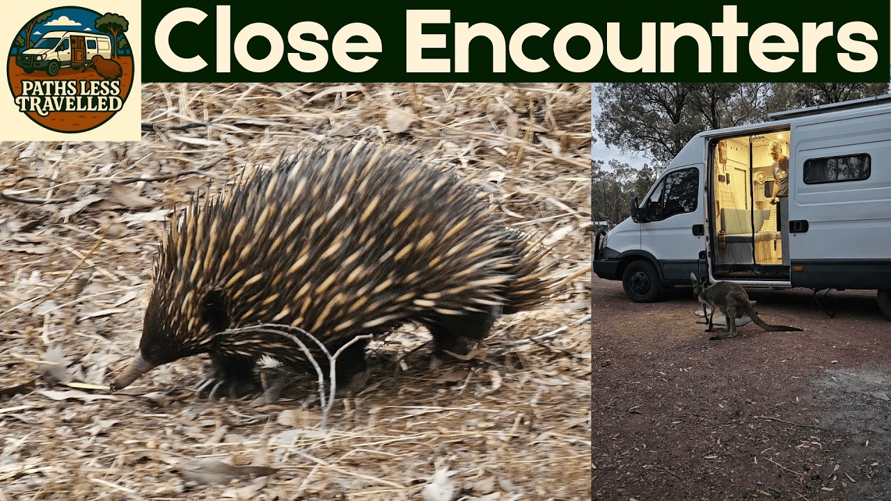 Close Encounters in the Flinders: Terowie to Wilpena Pound