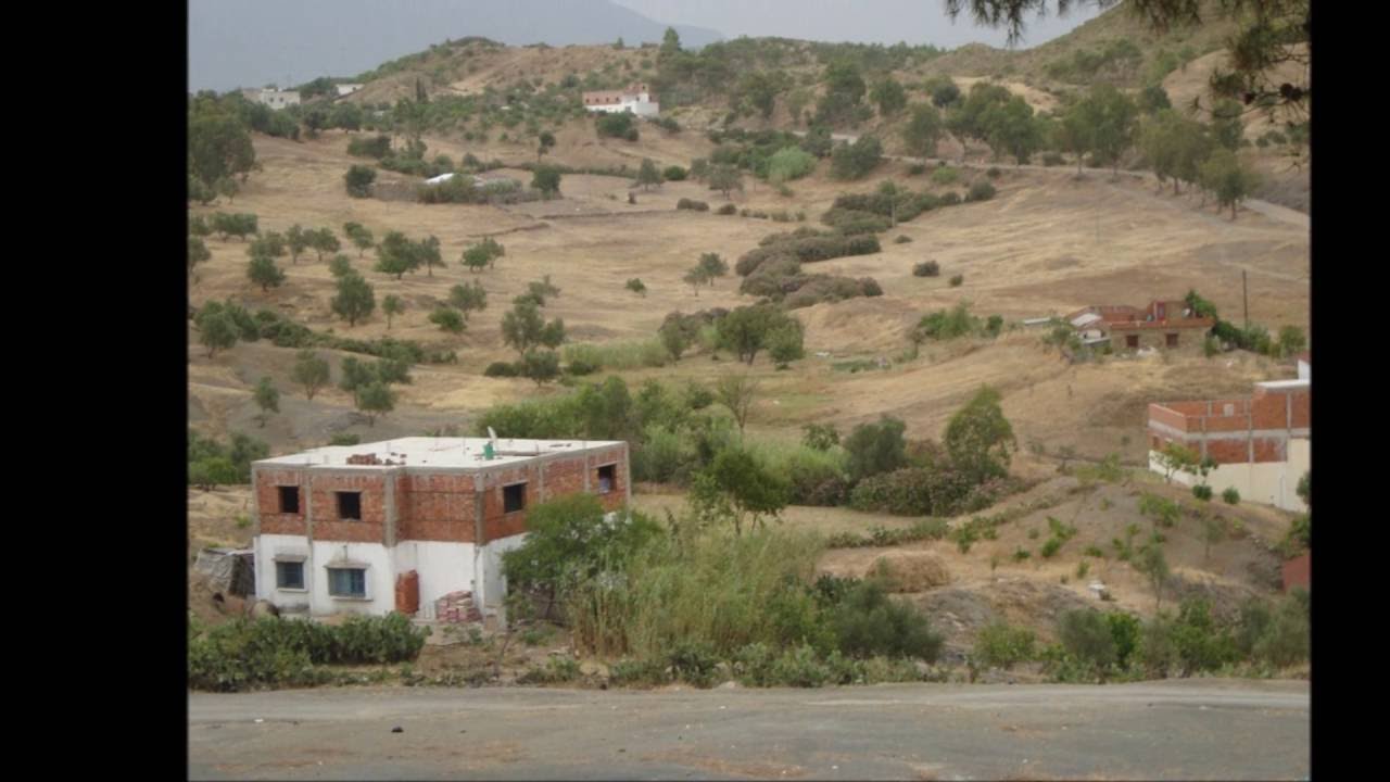 مقريصات الحبيبة