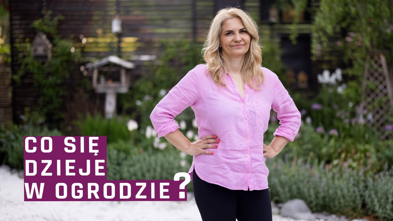 Spacer po ogrodzie - co kwitnie, co choruje, co ma niedobory?