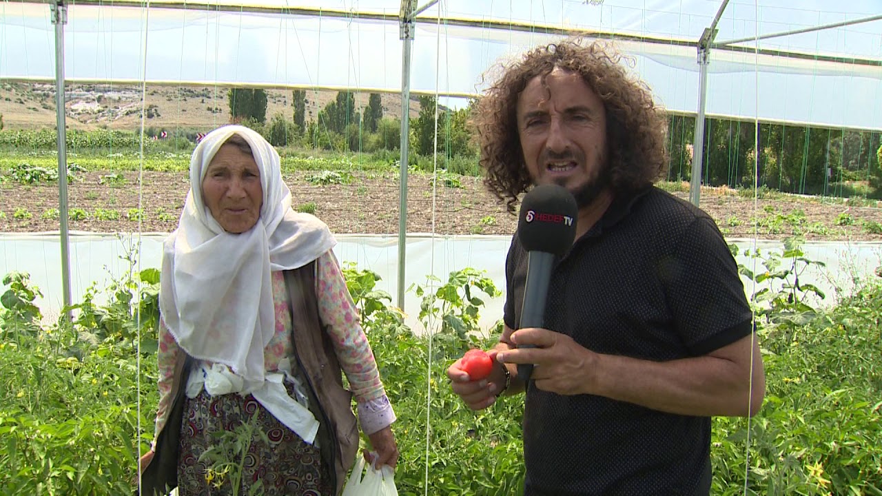 MÜLAYİM YOLLARDA / SEYİTGAZİ ÇIKIŞ YOLU / TARLADA DOMATES BİBER MUHABBETİ