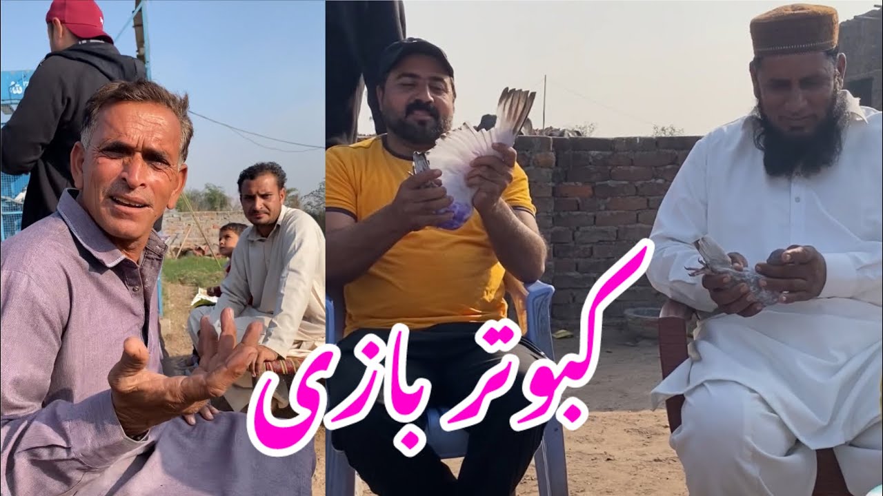 کبوتر بازی کے متعلق اہم گُفتگو کی باتیں اعوان پیجن کلب عباس #pigeon #lovers #pakistani