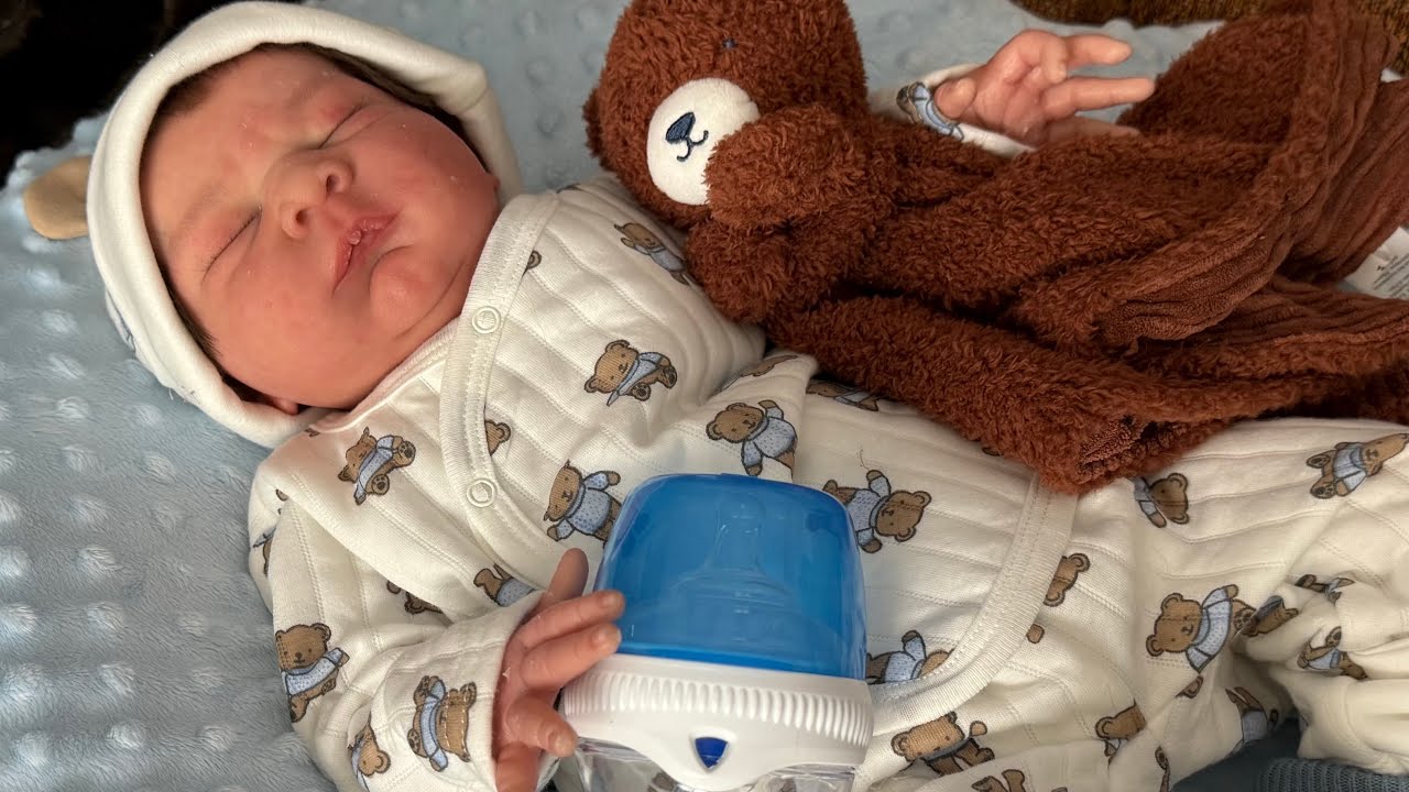 Teddy bears and Burke || Change and chat