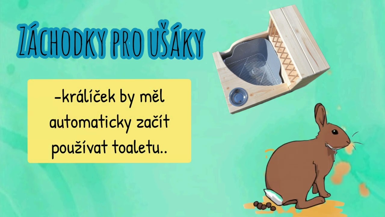 Péče o králíčky- toalety a stelivo