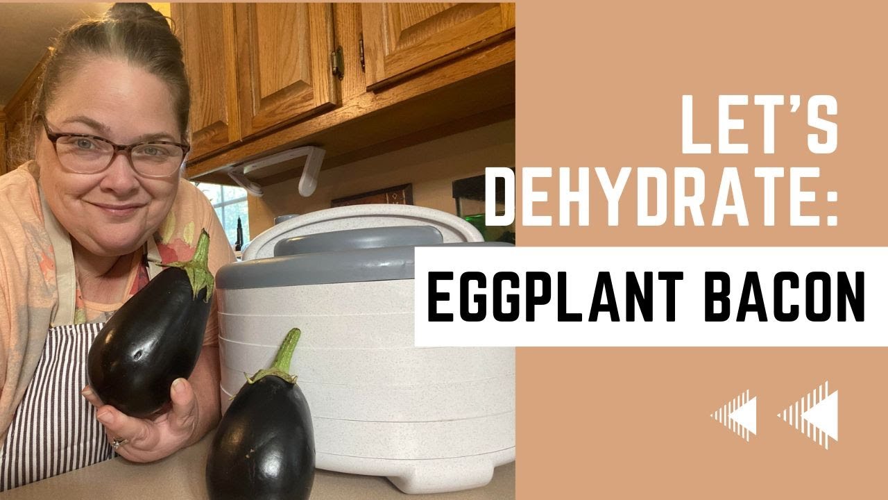 Preserving The Harvest: Dehydrating Eggplant