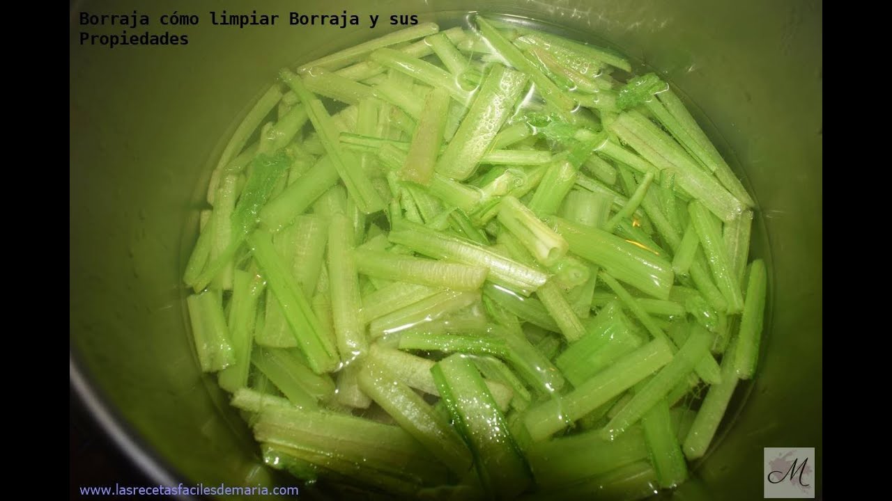 Borraja como limpiar borraja y sus propiedades