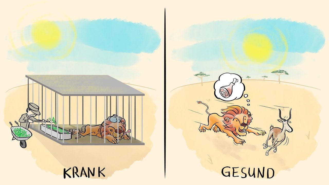Die Löwengeschichte