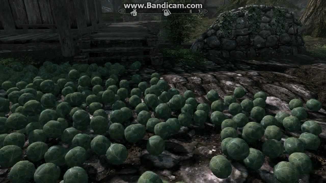 Skyrim Fun with Cabbage