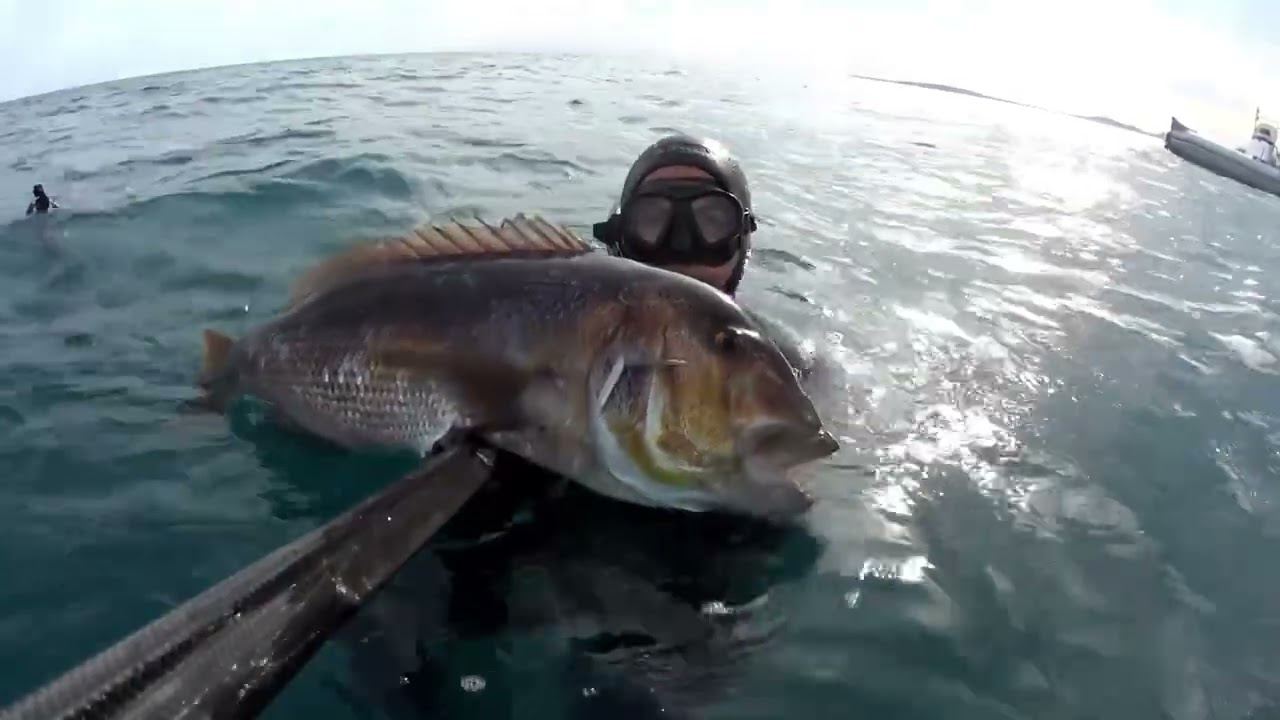 PESCA SUBMARINA EN MALLORCA: LOS MISTERIOS DE LA ORILLA II