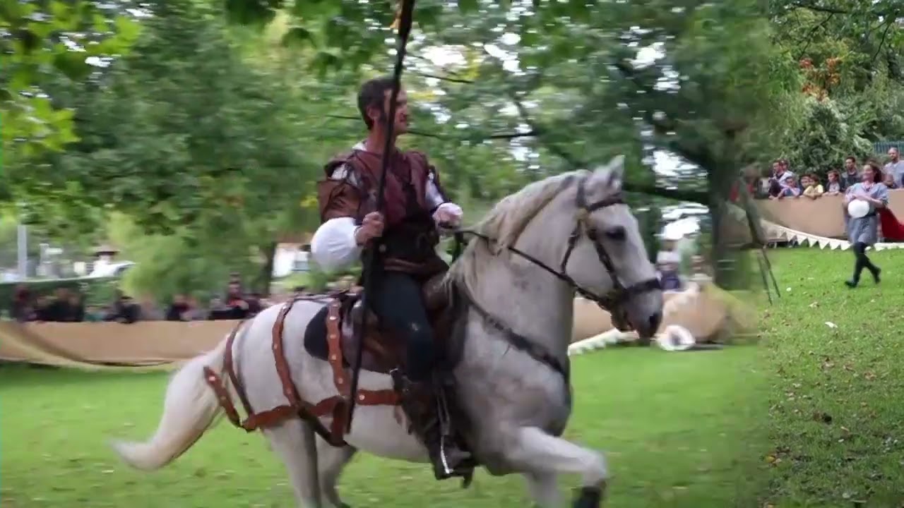 Fête médiévale   Pont à Mousson 2015