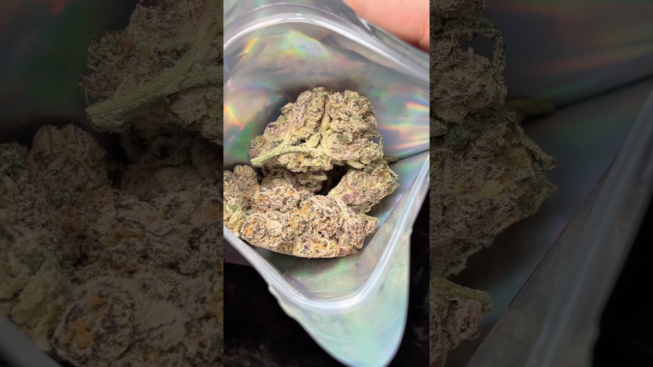 🔥🔥 Haul From JK Distro #explorepage #fypシ #zaza #420 #fypシ゚viral #jkdistro #viral #review