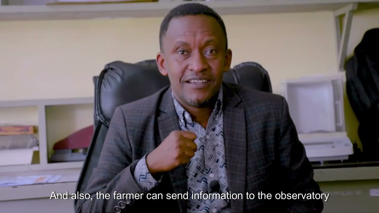 PlantVillage AI Observatory to Bolster Fight Against BBTV in Tanzania | TPHPA