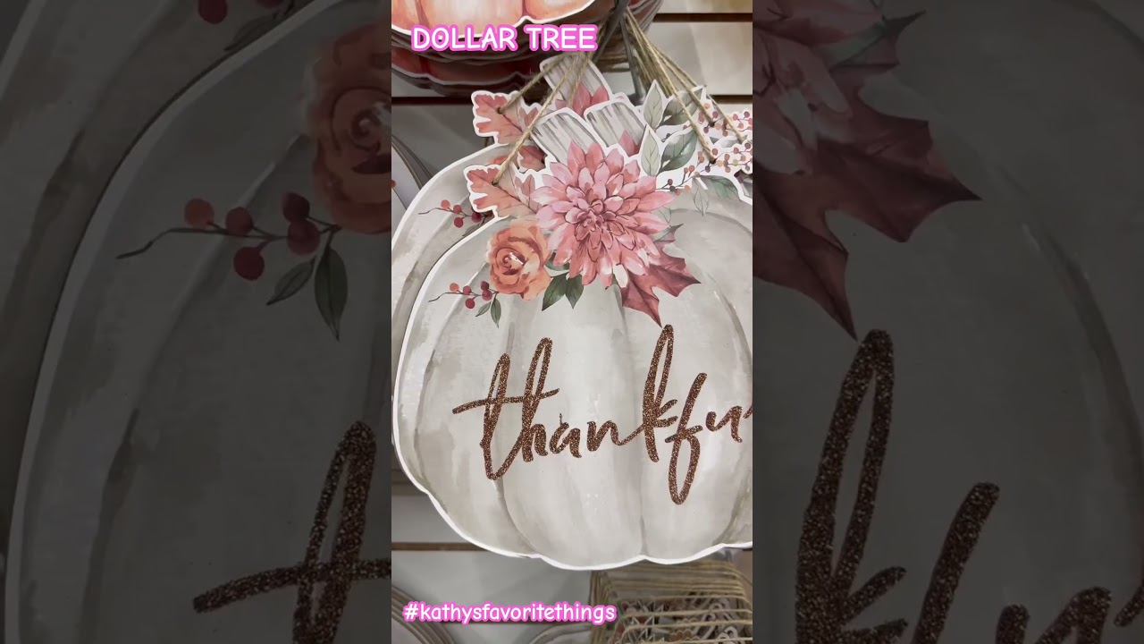 DOLLAR TREE #dollartreenew #dollartreehaul #newdollartreefinds #dollartreefall #DTFinds #DTHaul