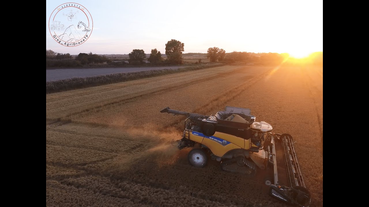 Moisson de riz 2k23 avec une New Holland CR 9.90 de la SARL Taxil moisson