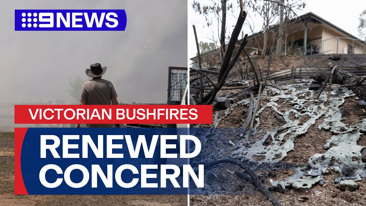 Up to a dozen major bushfires burning across Victoria | 9 News Australia