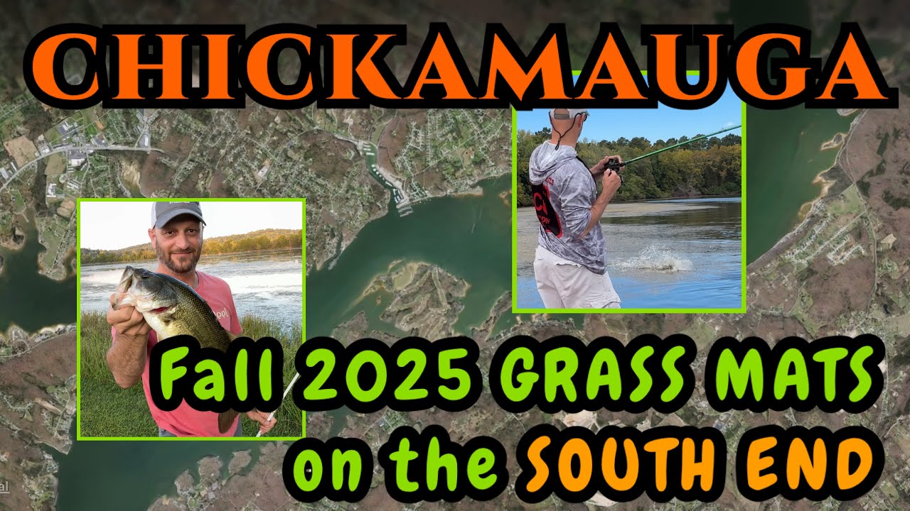 Chickamauga Lake BREAKDOWN; Productive Grass Mats on the LOWER END in Fall 2025