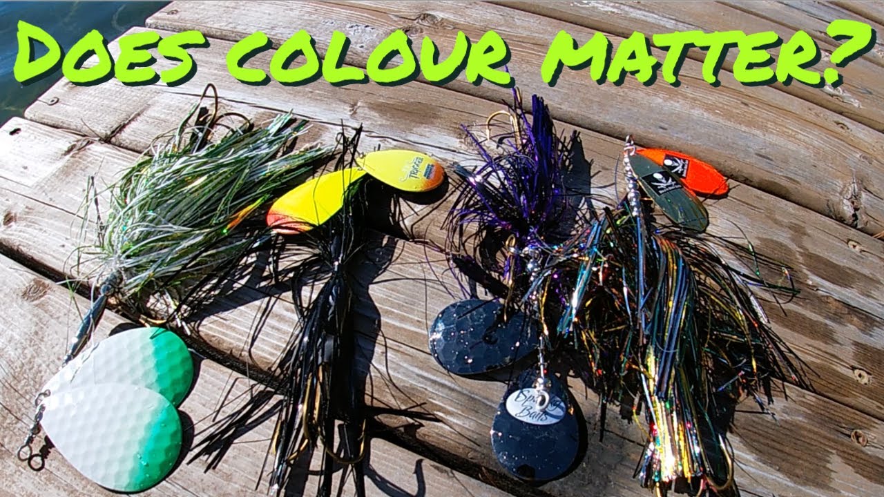 BUCKTAIL COLOURS on SUNNY days vs OVERCAST days! Is there a difference?