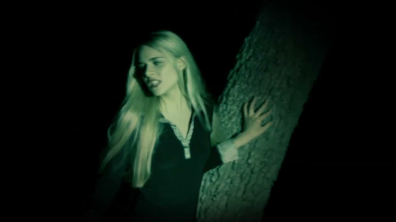 Autumn's Grey Solace - Within The Depths Of A Darkened Forest