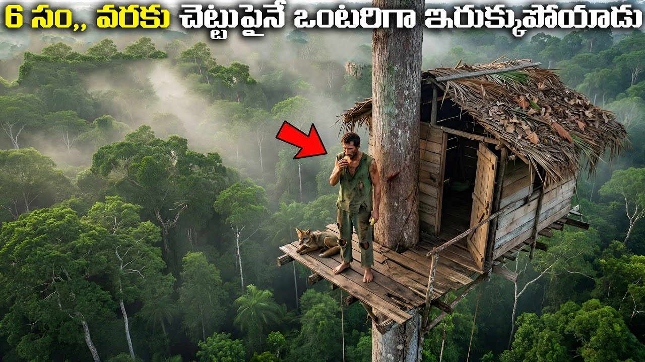 6 సం,, వరకు చెట్టుపైనే ఒంటరిగా ఇరుక్కుపోయాడు | Fn-20 Mystery