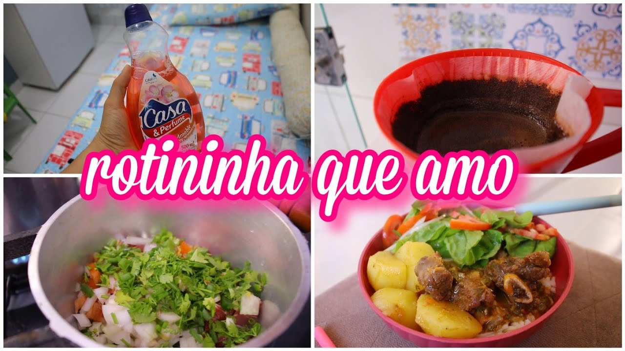 VLOGÃO : Esse dia foi produtivo, fiz tudo e almoço caseirinho