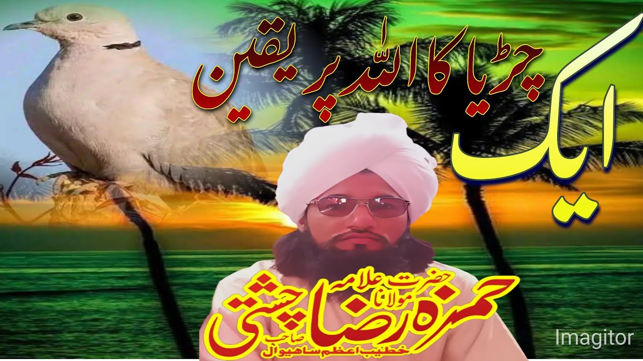 mufti fazal Ahmad chishti ll Qari hamza raza chishti ll ایک چڑیا کا اللہ پر یقی